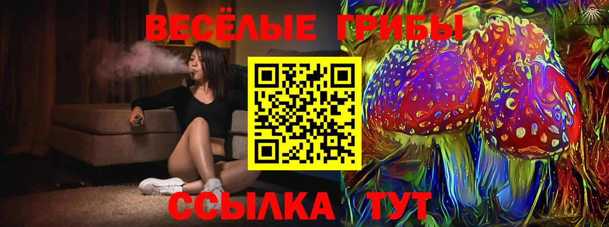 Псилоцибиновые грибы Psilocybine cubensis  Псилоцибиновые грибы мицелий  Норильск  что такое наркотик  Вход с VPN 
